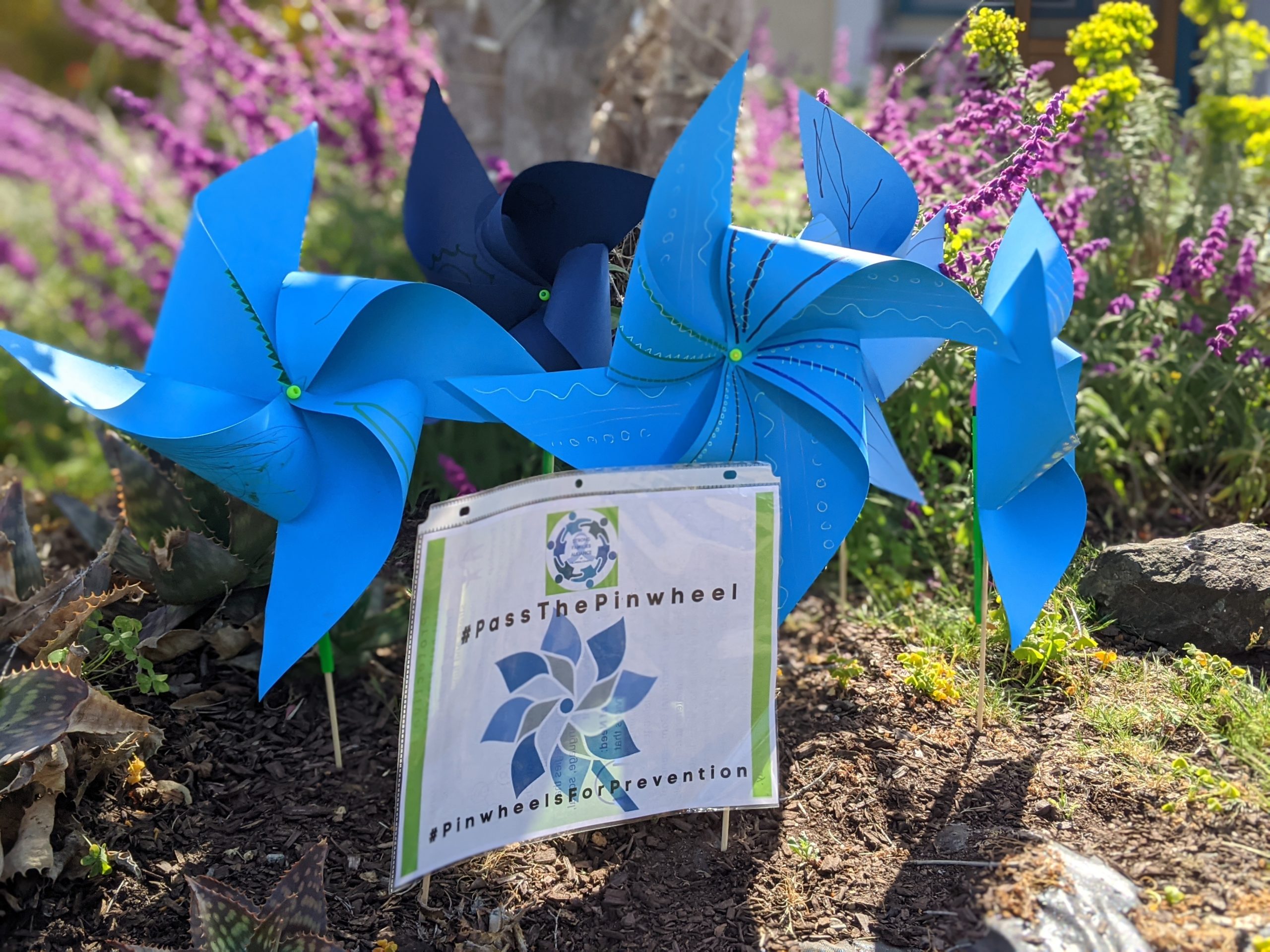 EBAC pinwheel garden